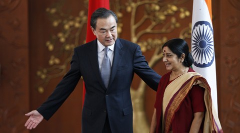 Chinese, Indian foreign ministers hold talks - ảnh 1